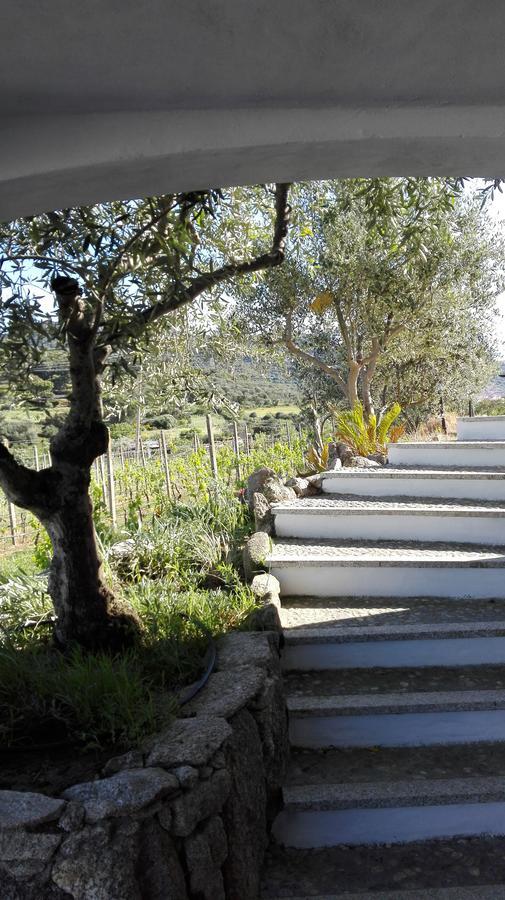 Agriturismo B&B Domo De Resteblas แบร์คิดดา ภายนอก รูปภาพ